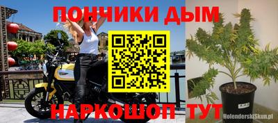 крисы Заводоуковск