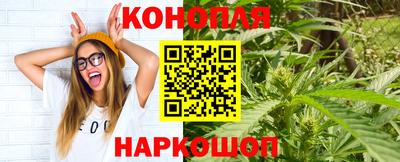 крисы Заводоуковск