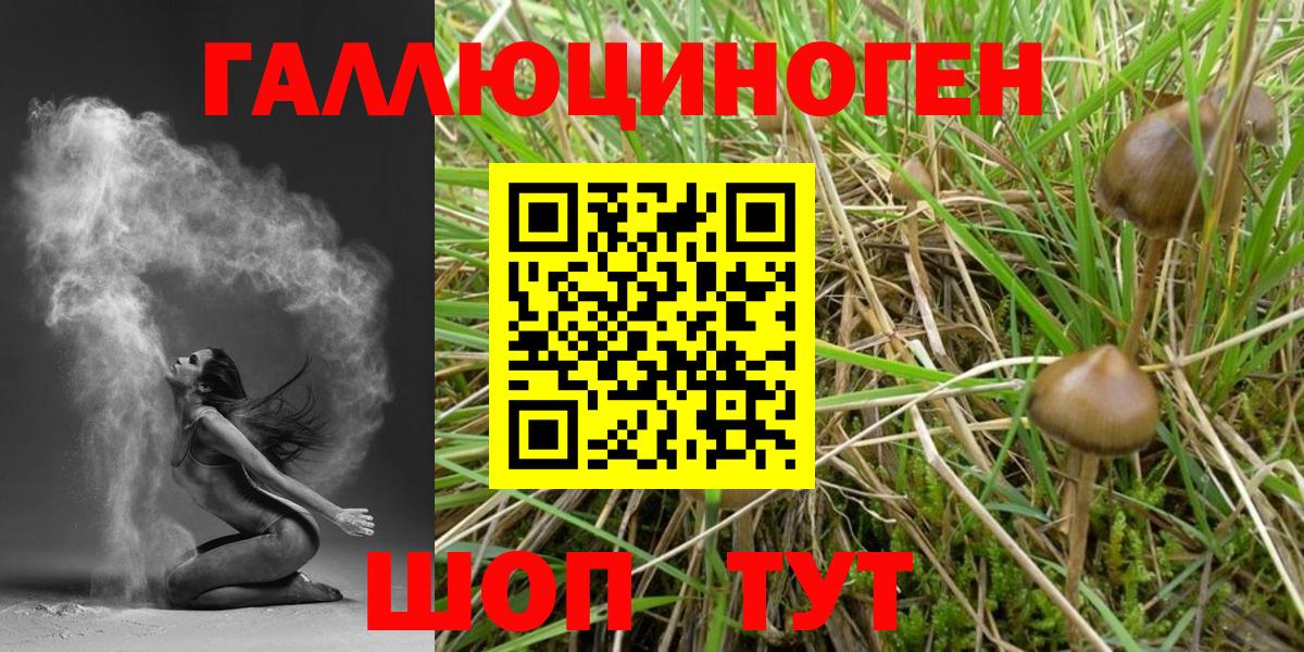 Галлюциногенные грибы мицелий Назарово