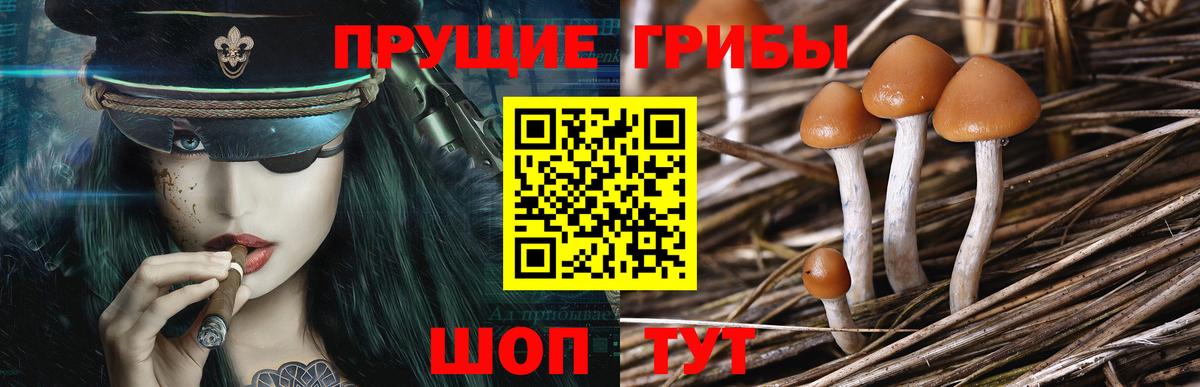 Назарово  Галлюциногенные грибы GOLDEN TEACHER  Вход с VPN 
